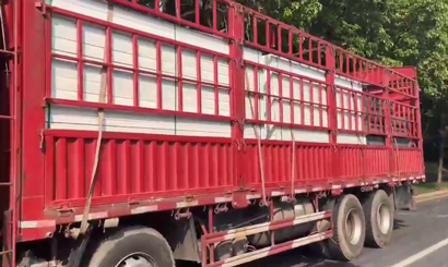 旭東PVC圍擋批發(fā)直供龍崗工地，2500米圍擋當天閃電送達